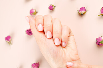 Close up of female hands with pastel nail design. Pink nail polish manicured hands. Female hands on pink background with rosebuds