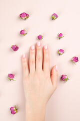Obraz na płótnie Canvas Stylish trendy female pastel manicure. Beautiful young woman hand on pastel pink background with flowers and place for text.