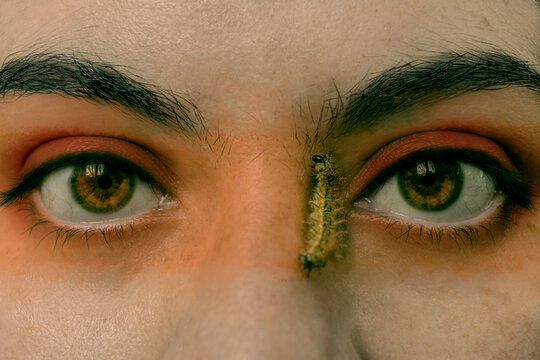 Caterpillars on naked skin, between big eyes.