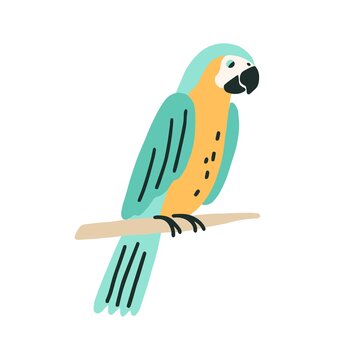 Black-and-yellow macaw sitting on tree branch. Colorful ara with bright feathers. Exotic bird with long tail. Colorful flat vector illustration of parakeet isolated on white background
