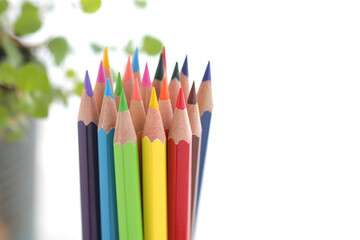 色鉛筆とお絵かき