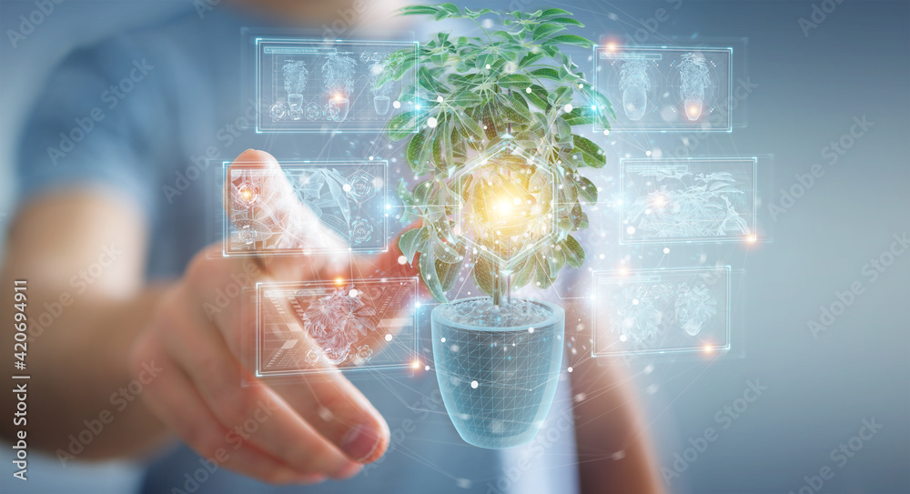 Leinwandbilder man holding and touching holographic projection of a plant with digital analysis 3d rendering