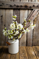 Fototapeta na wymiar cherry flower blossom branch in enamel milk canister vase, old weathered wooden background