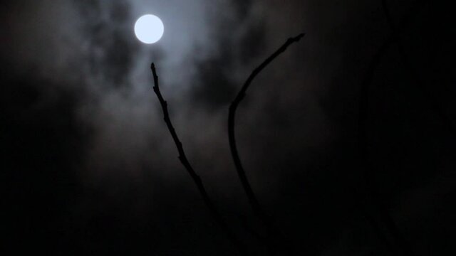Fullmoon with tree