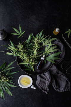 Cannabis oil + Fresh plants
