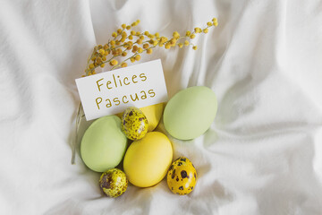 painted easter yellow and green chicken and quail eggs, spring mimosa sprig, greeting white card...