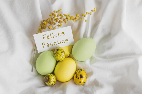 painted easter yellow and green chicken and quail eggs, spring mimosa sprig, greeting white card with the inscription happy easter on spanish on white cloth, easter holiday celebration concept 