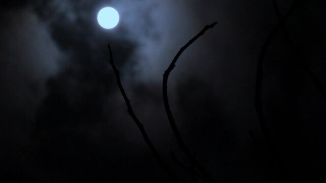 Fullmoon with tree