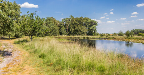 Fototapeta na wymiar Panorama of a small pool in national park Dwingelderveld, Netherlands
