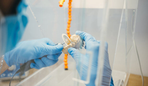 Dental Technician Making New Dental Prosthetics in Laboratory.