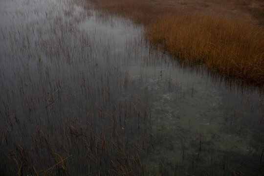 Landscape of Maine