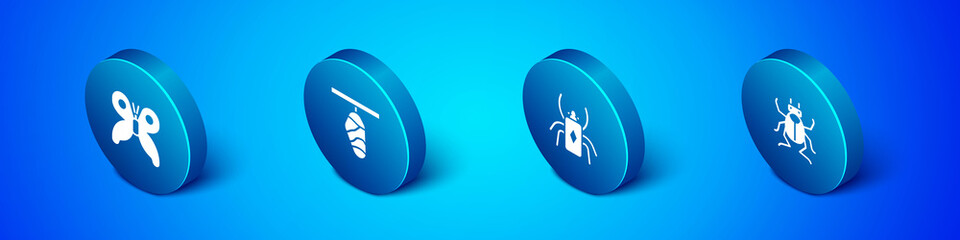 Set Isometric Butterfly, Beetle bug, and cocoon icon. Vector