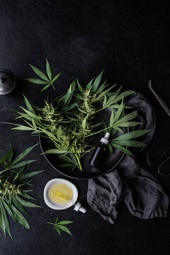 Cannabis oil + Fresh plants