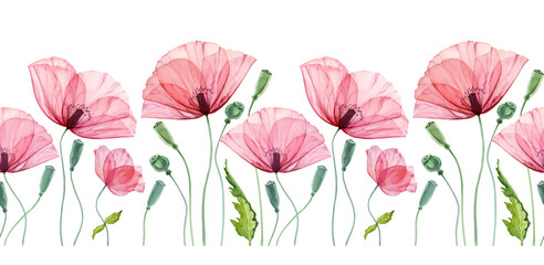 Watercolor seamless border with Poppy. Summer field flowers with green leaves. Floral horizontal line in repeat. Realistic botanical illustration - 420700938