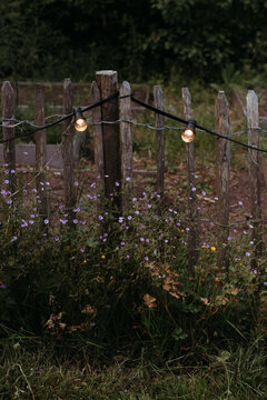 wooden fence with string lights and purple flowers