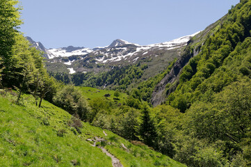 Fototapeta na wymiar Valferrera valley in summer- Pyrenees Mountains, Spain