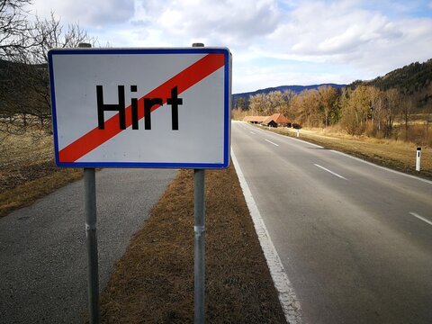 Hirt