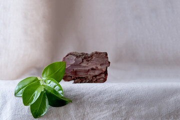 natural background for eco products. Linen, bark tree, green and dry plant, podium