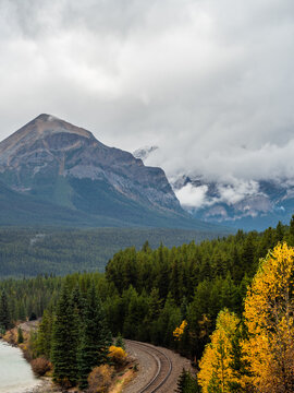 overcast at Morant's curve