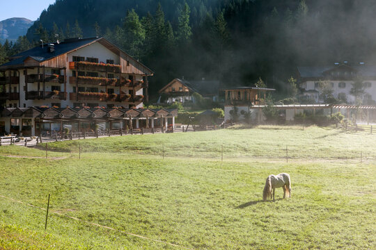 Fogy morning in farm field in Austrian Alps