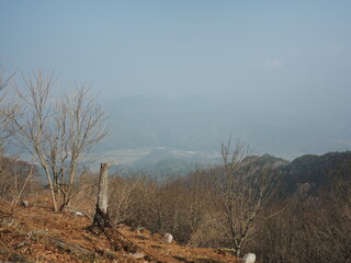 山からの風景