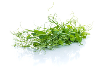 bunch of freshly cut green pea sprouts micro greens