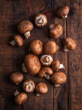Baby Bella Mushrooms