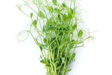 Obraz premium bunch of freshly cut green pea sprouts micro greens