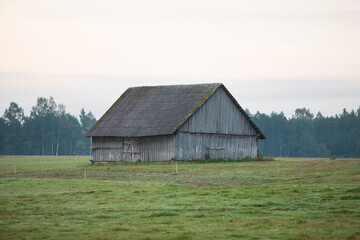 Old Wooden shed on green field with forest in background, retro-vintage look