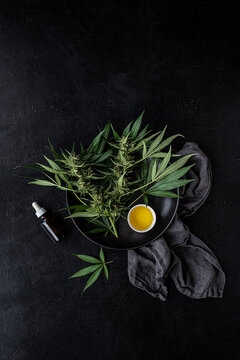 Cannabis oil + Fresh plants