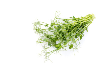 bunch of freshly cut green pea sprouts micro greens