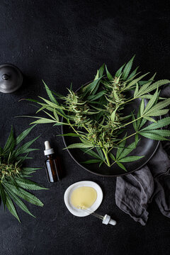 Cannabis oil + Fresh plants