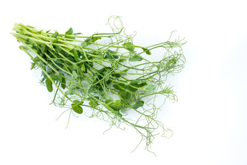 bunch of freshly cut green pea sprouts micro greens
