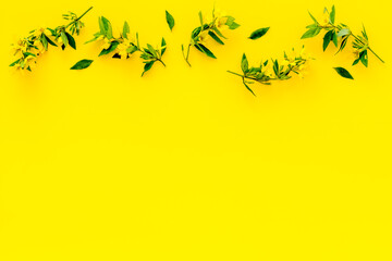 Floral background of yellow flowers with leaves, overhead view