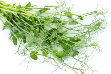 bunch of freshly cut green pea sprouts micro greens