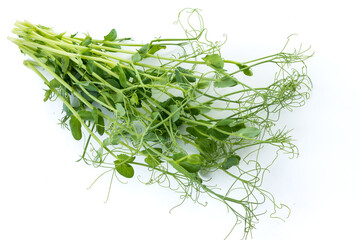 bunch of freshly cut green pea sprouts micro greens
