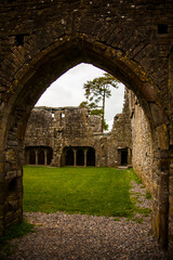 Fototapeta na wymiar Spring in Bective Abbey (Mainistir Bheigti), Ireland