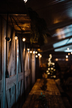 Barn with Christmas trees