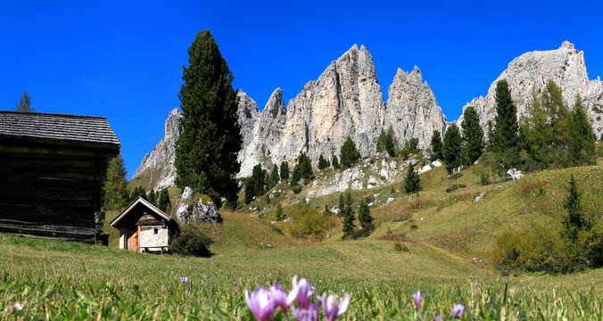 Almwiese mit Cirspitzen Berggruppe im Fr&uuml;hling, S&uuml;dtirol, Italien, Europa, Panorama