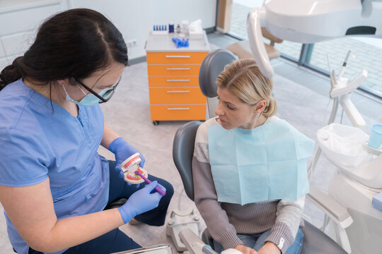 Dentist Showing Correct Teeth Cleaning To Patient