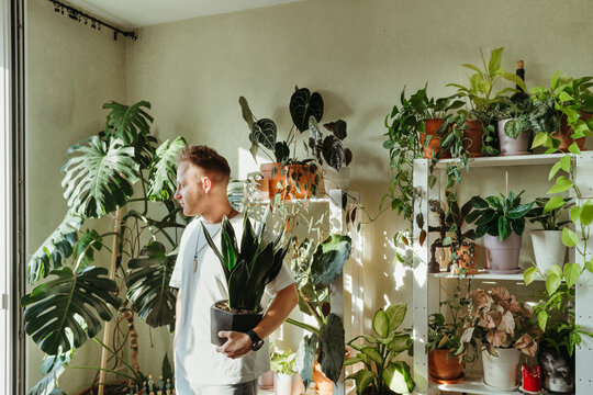 A man is holding a pot with a houseplant.