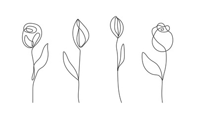 Continuous Line Drawing Set Of Flowers Black Sketch Isolated on White Background. Simple Flowers One Line Illustration Set. Minimalist Botanical Drawing. Vector EPS 10.