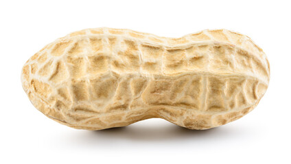 Peanut isolated. Peanut on white background. One unpeeled nut.
