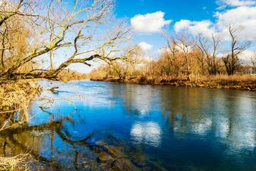 Fototapeta premium Wo sich wieder Lachs und Meerforelle tummeln: Unterlauf der Sieg bei Bonn