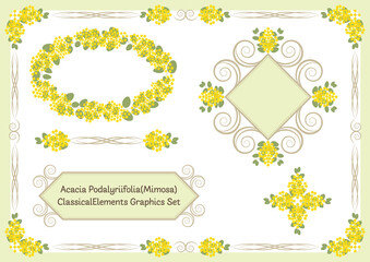 Classical Mimosa Graphic Elements Frame Background Set