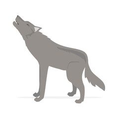 Wild wolf vector