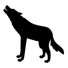 Silhouette wild wolf