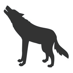 Silhouette wild wolf