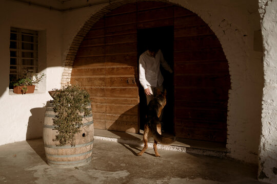 Fashionable man playing with his cute dog at home, in the countryside