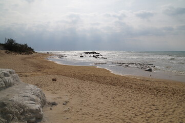 beach in the morning